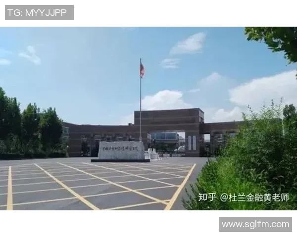 广州乒乓球队的崛起之路：从默默无闻到全国瞩目的成长历程