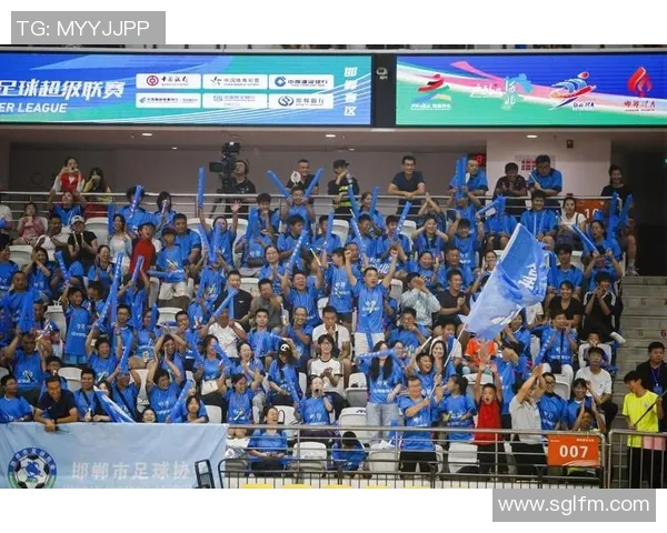 足球明星球迷团携手共庆激情赛事打造无与伦比的足球盛宴