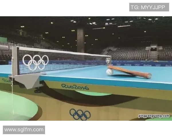 南京乒乓球队转型之路的挑战与机遇全景揭秘