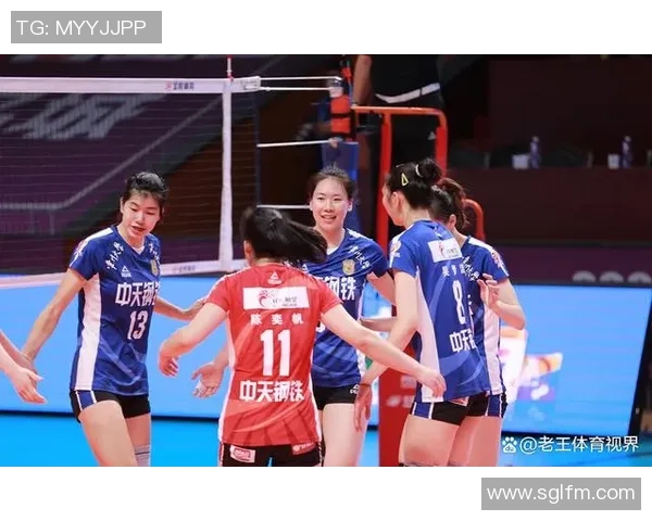 杭州排球队实力分析与赛季表现评估的深度解读