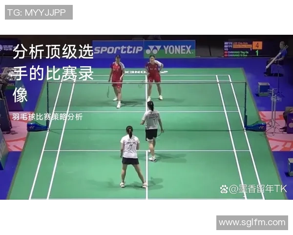 杭州羽毛球队个人能力分析与提升策略探讨