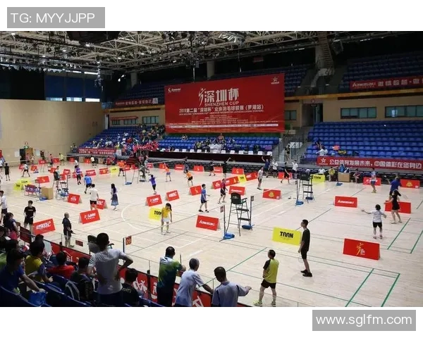 深圳羽毛球队阵地战分析：胜负背后的战术与策略探讨