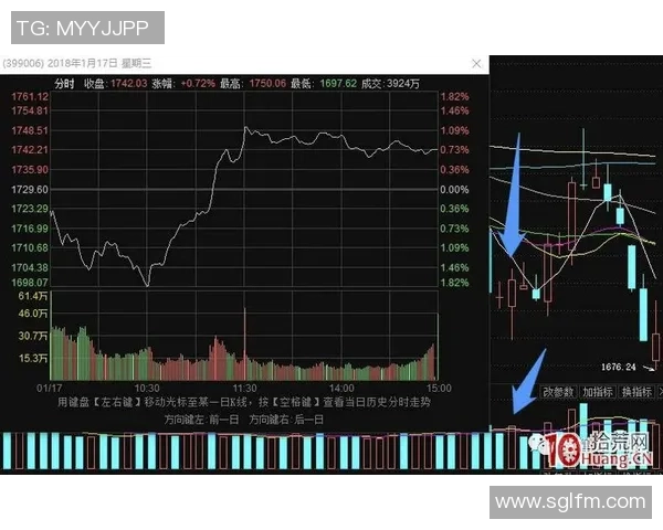 成都乒乓球队运营分析：成功经验与面临挑战的深度探讨