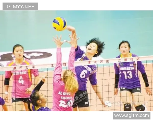 成都排球队实力对比深度解析各队优势与不足全景展现