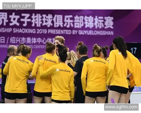 深圳排球队个人能力分析与联赛表现评估