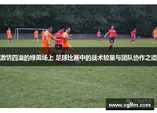 激情四溢的绿茵场上 足球比赛中的战术较量与团队协作之道