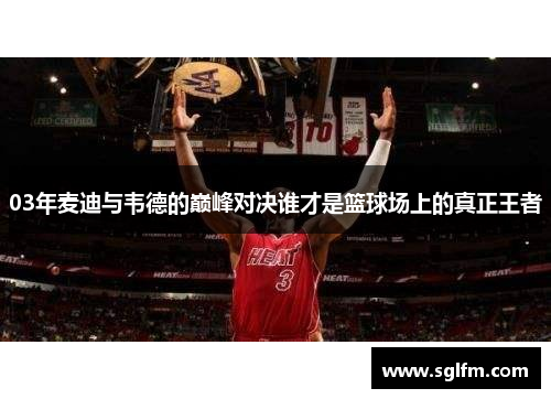 03年麦迪与韦德的巅峰对决谁才是篮球场上的真正王者