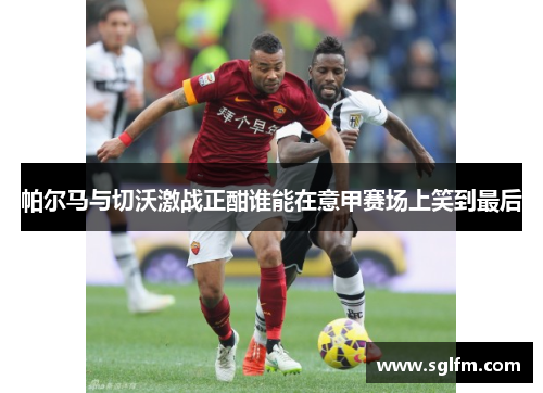 帕尔马与切沃激战正酣谁能在意甲赛场上笑到最后